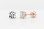 Maison Classic Stud Earrings
