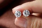 Maison Classic Stud Earrings